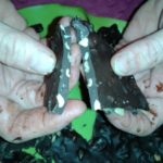 Chocolate Bark pieces