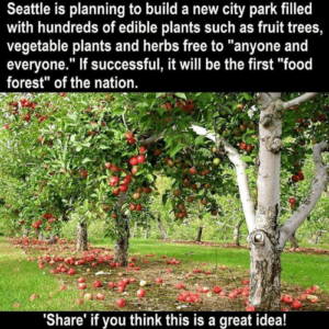 Beacon Food Forest